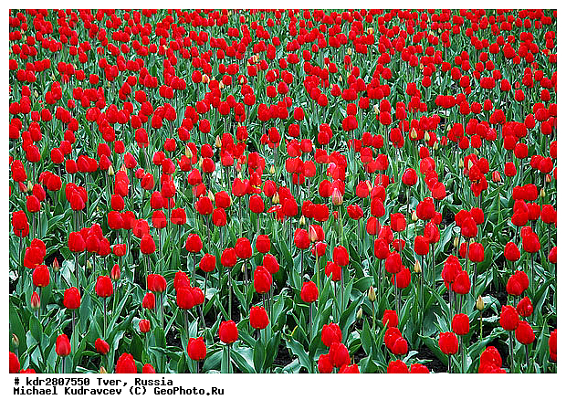 2007, ���, �����, ���������, �����, �������