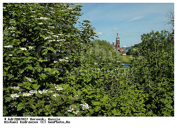 �������, ��������� �������, �����