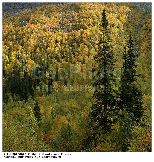 ���������, �������� ����������, ���������� �������, ������, ������� �����, ������, ����, ������, ����, ���, ���, �������, �����, ������, �����