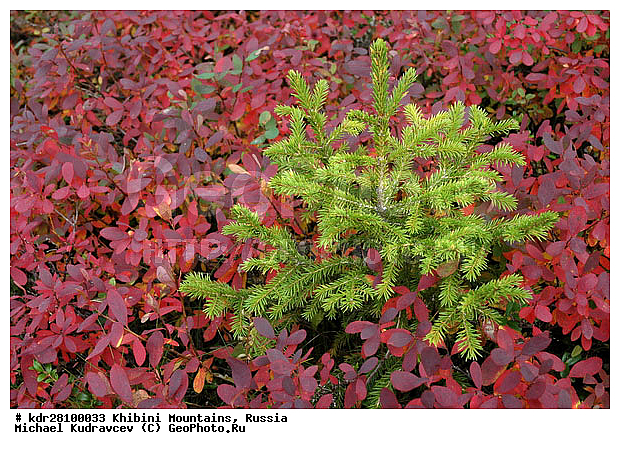 ���������, �������� ����������, ���������� �������, ������, ������� �����, ������, ����, ������, ������, ������������, �������, �����, ������, ������������, ������, �����, �������