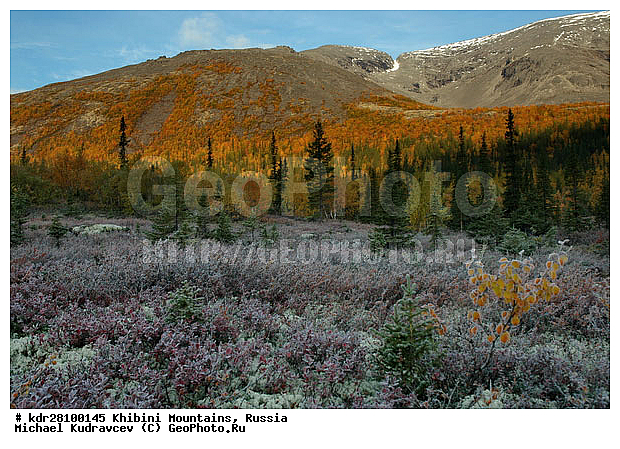 ���������, �������� ����������, ���������� �������, ������, ������� �����, ������, ����, ����, �����, ������, �������, ������, ����, �����, ��������