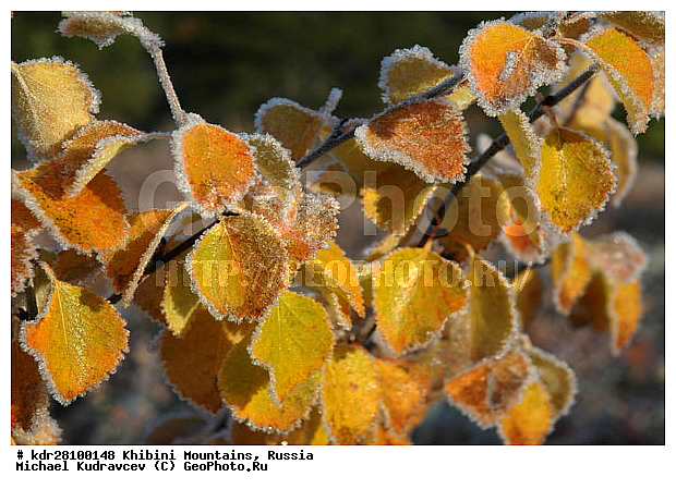 ���������, �������� ����������, ���������� �������, ������, ������� �����, ������, ������, ������, ����, ���������� ������, ���������� �������, ����, ������, ������, �������, �����, ������, �������, ������������ ������������, ������, ����, �����