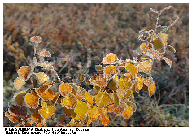 ���������, �������� ����������, ���������� �������, ������, ������� �����, ������, ������, ������, ����, ���������� ������, ���������� �������, ����, ������, ������, �������, �����, ������, �������, ������������ ������������, ������, ����, �����