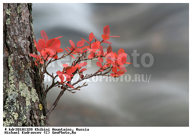 ���������, �������� ����������, ���������� �������, ������, ������� �����, ������, ���, ����, ��������, ������, ������, ����, ������, �����, ������, �����, ����, ���� ���������, �����, �����, �����, �������, ������� ����