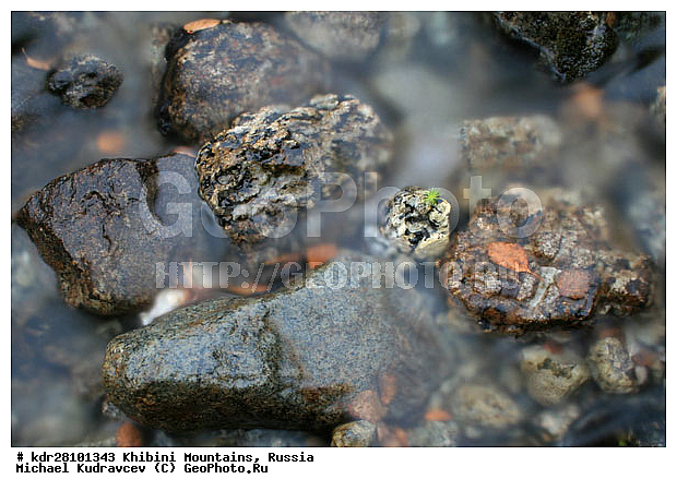 ���������, �������� ����������, ���������� �������, ������, ������� �����, ������, ����, ������, ������, ������, �����, ������, �����, ����, ���� ���������, �����, �����, �������, ������� ����