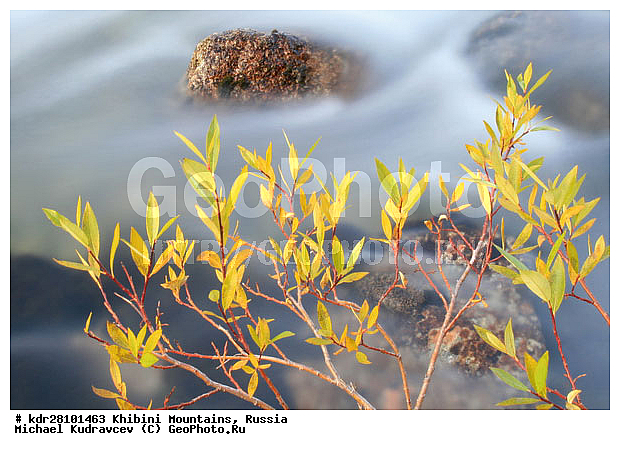 ���������, �������� ����������, ���������� �������, ������, ������� �����, ������, ����, ������, �����, ������, �����, ����, ���� ���������, �����, �����, �������, ������� ����