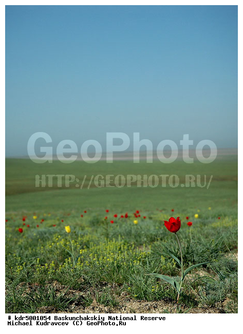 ������������, ���������, ������ 2008, ����������, ������ ��������, �������, �����, �� ������