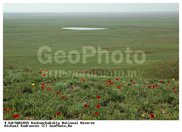 ������������, ���������, ������ 2008, ����������, ������ ��������, �������, �����, �� ������