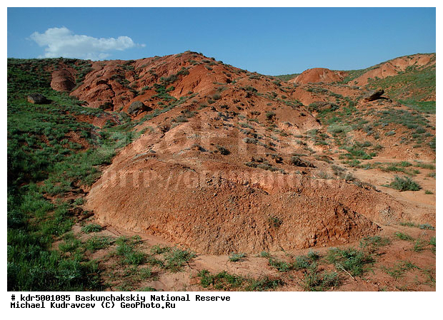 ������������, ���������, ������ 2008, ����������, ������ ��������, �������, �����, �� ������