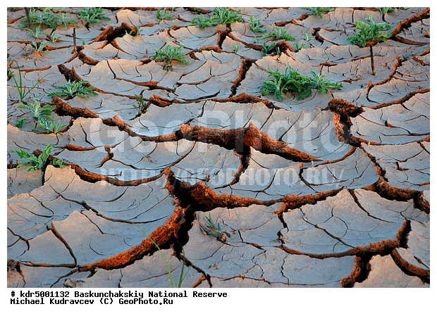 ������������, ���������, ������ 2008, �����, ����, ����������, ������, �����, ������� �����, ������ ��������, �����, ���������, ���������������, �������, �����, �����, �������, �������, �� ������