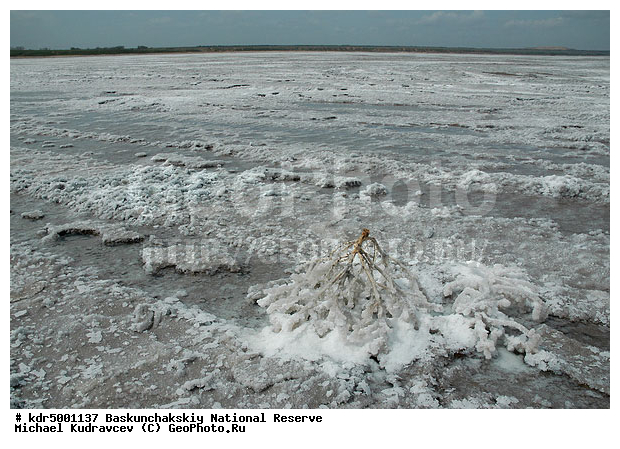 ������������, ���������, ������ 2008, ����������, ������ ��������, �������, �����, �� ������