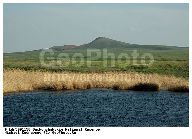 ������������, ���������, ������ 2008, ����������, ������ ��������, �������, �����, �� ������