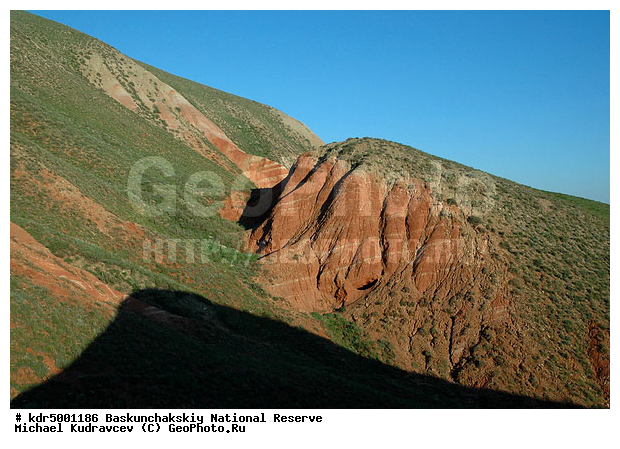 ������������, ���������, ������ 2008, ����������, ������ ��������, �������, �����, �� ������