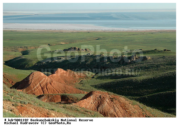 ������������, ���������, ������ 2008, ����������, ������ ��������, �������, �����, �� ������