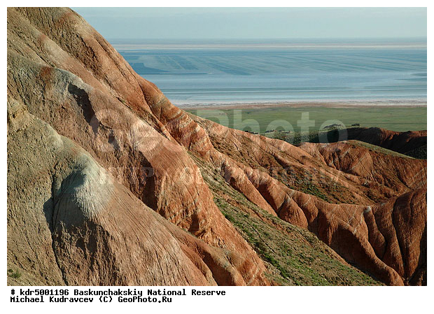 ������������, ���������, ������ 2008, ����������, ������ ��������, �������, �����, �� ������