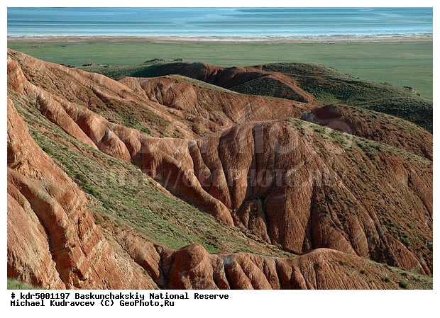 ������������, ���������, ������ 2008, ����������, ������ ��������, �������, �����, �� ������