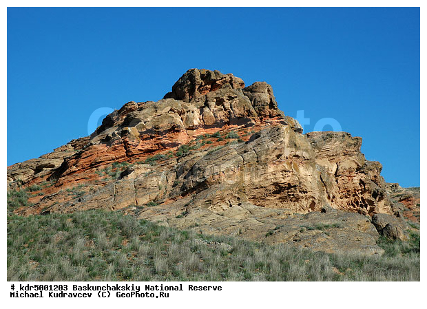 ������������, ���������, ������ 2008, ����������, ������ ��������, �������, �����, �� ������