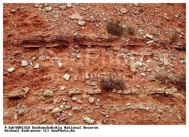 ������������, ���������, ������ 2007, ����������, ������ ��������, �������, �����, �� ������