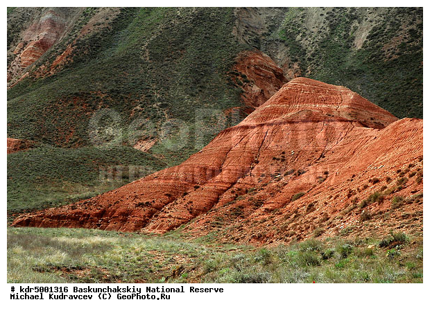 ������������, ���������, ������ 2007, ����������, ������ ��������, �������, �����, �� ������