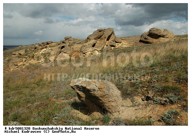 ������������, ���������, ������ 2007, ����������, ������ ��������, �������, �����, �� ������