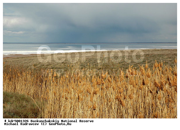 ������������, ���������, ������ 2007, ����������, ������ ��������, �������, �����, �� ������