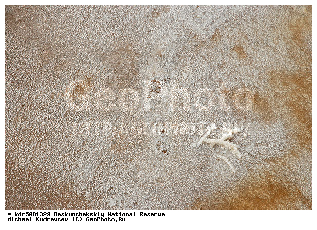 ������������, ���������, ������ 2007, ����������, ������ ��������, �������, �����, �� ������