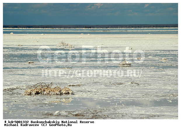 ������������, ���������, ������ 2007, ����������, ������ ��������, �������, �����, �� ������