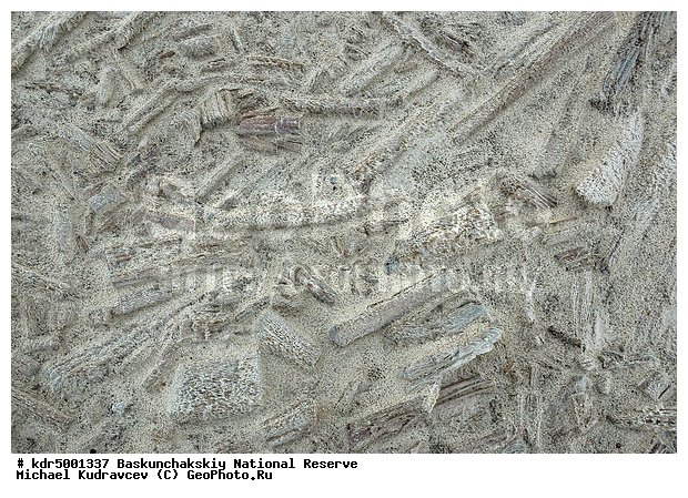 ������������, ���������, ������ 2007, ����������, ������ ��������, �������, �����, �� ������