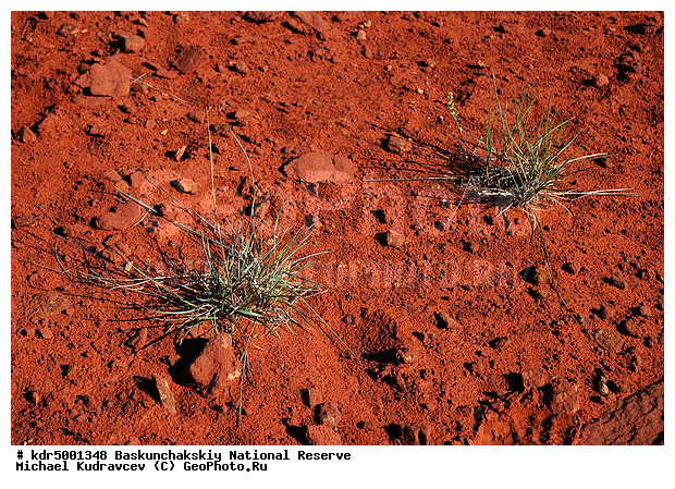 ������������, ���������, ������ 2007, ������, ����, ����������, ������ ��������, ����, ���������, �������, �����, �� ������