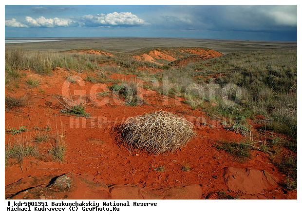 ������������, ���������, ������ 2007, ����������, ������ ��������, �������, �����, �� ������