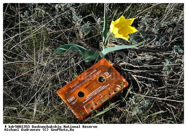 ������������, ���������, ������ 2007, ����������, ������ ��������, �������, �����, �� ������