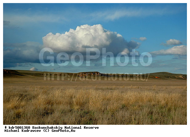 ������������, ���������, ������ 2007, ����������, ������ ��������, �������, �����, �� ������