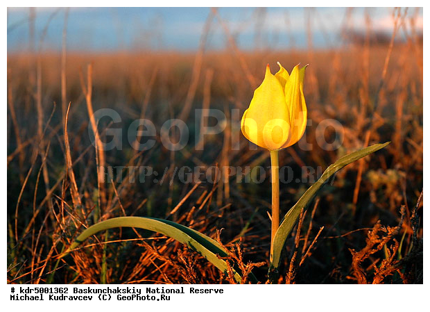 ������������, ���������, ������ 2007, ����������, ������ ��������, �������, �����, �� ������