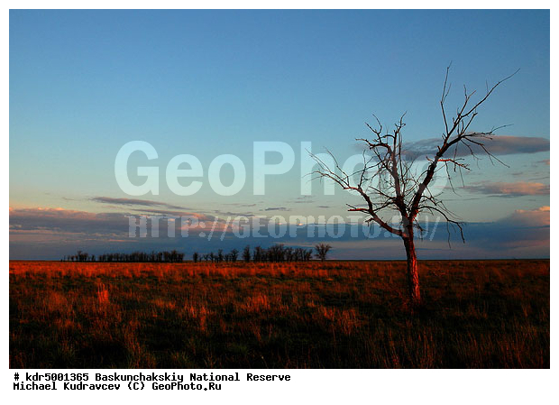 ������������, ���������, ������ 2007, ����������, ������ ��������, �������, �����, �� ������