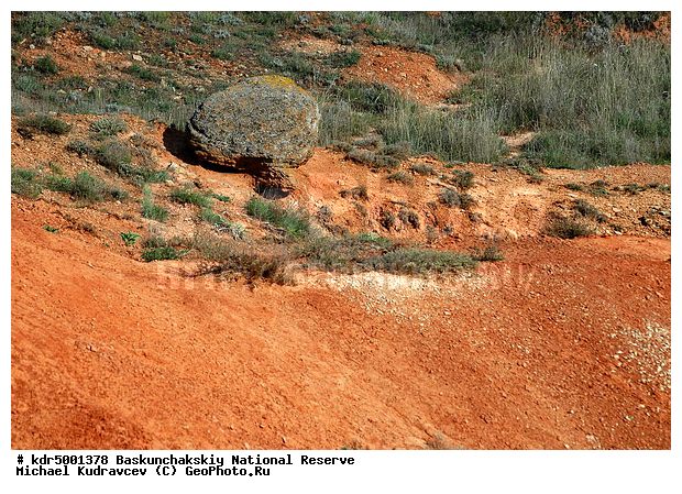 ������������, ���������, ������ 2007, ����������, ������ ��������, �������, �����, �� ������