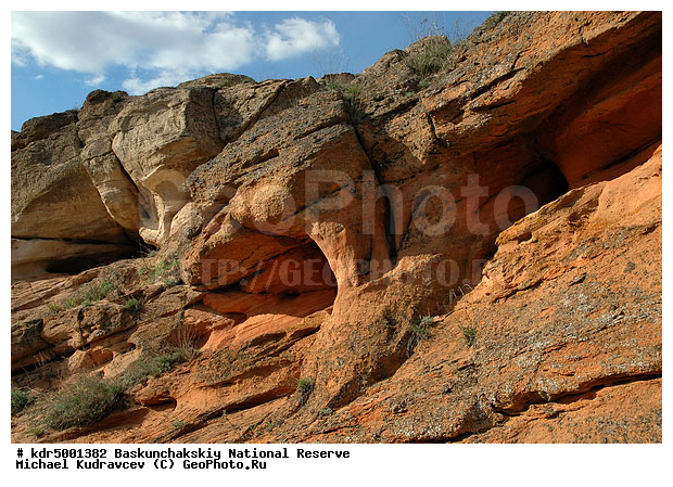 ������������, ���������, ������ 2007, ����������, ������ ��������, �������, �����, �� ������