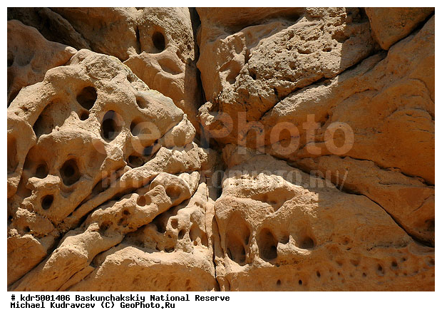 ������������, ���������, ������ 2007, ����������, ������ ��������, �������, �����, �� ������