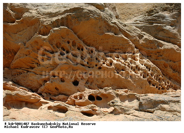 ������������, ���������, ������ 2007, ����������, ������ ��������, �������, �����, �� ������