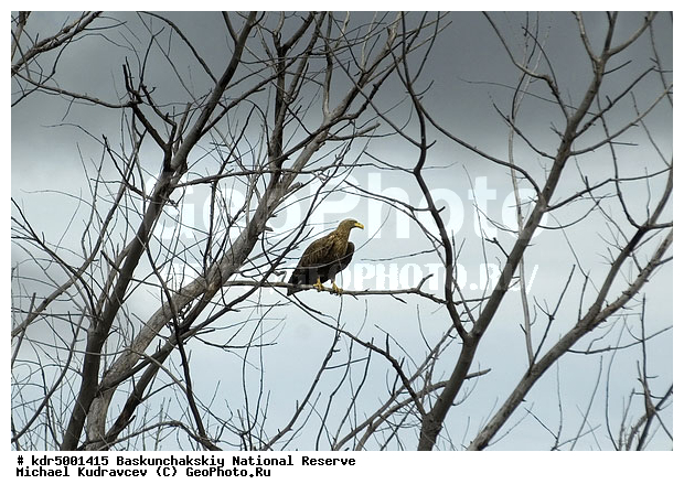 ������������, ���������, ������ 2007, ����������, ������ ��������, �������, �����, �� ������