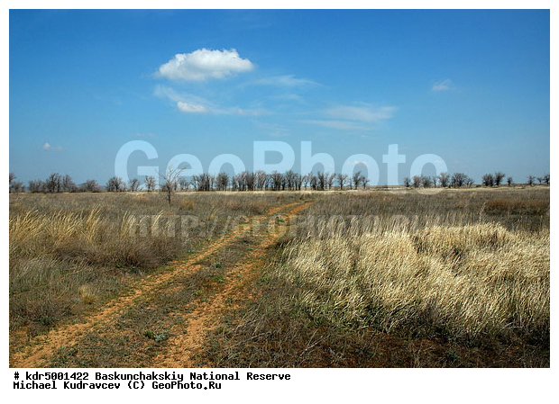 ������������, ���������, ������ 2007, ����������, ������ ��������, �������, �����, �� ������