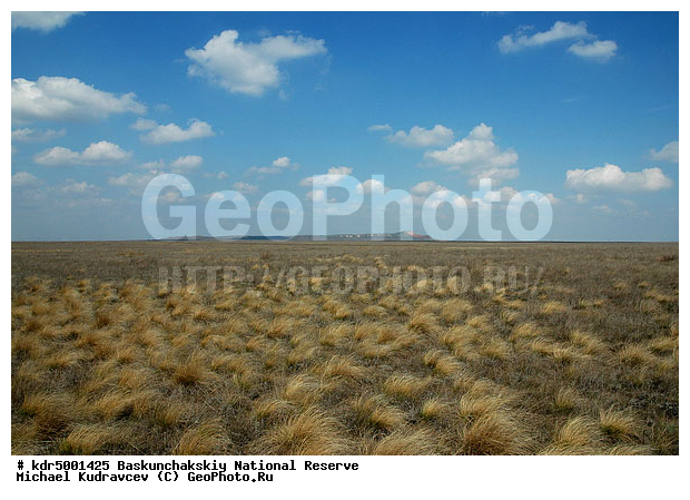 ������������, ���������, ������ 2007, ����������, ������ ��������, �������, �����, �� ������