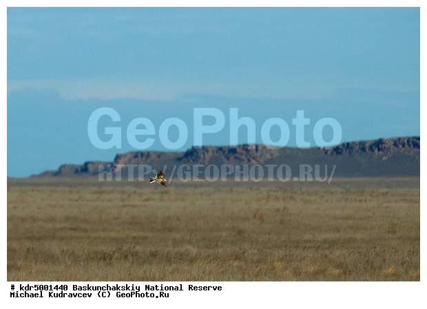 ������������, ���������, ������ 2007, ����������, ������ ��������, �������, �����, �� ������