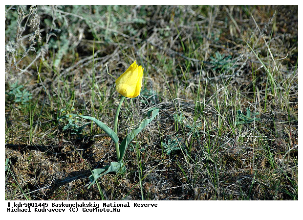 ������������, ���������, ������ 2007, ����������, ������ ��������, �������, �����, �� ������