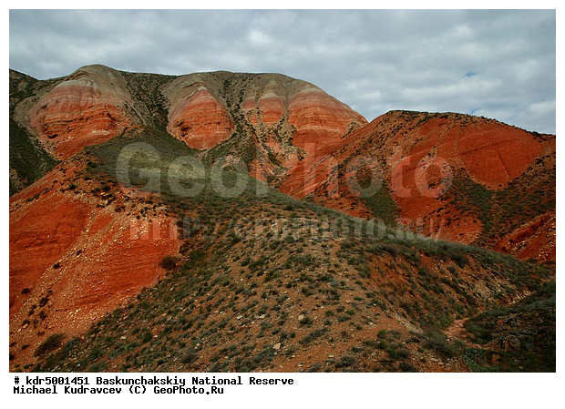 ������������, ���������, ������ 2007, ����������, ������ ��������, �������, �����, �� ������