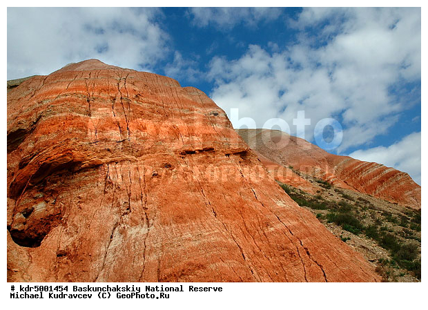 ������������, ���������, ������ 2007, ����������, ������ ��������, �������, �����, �� ������