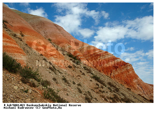 ������������, ���������, ������ 2007, ����������, ������ ��������, �������, �����, �� ������