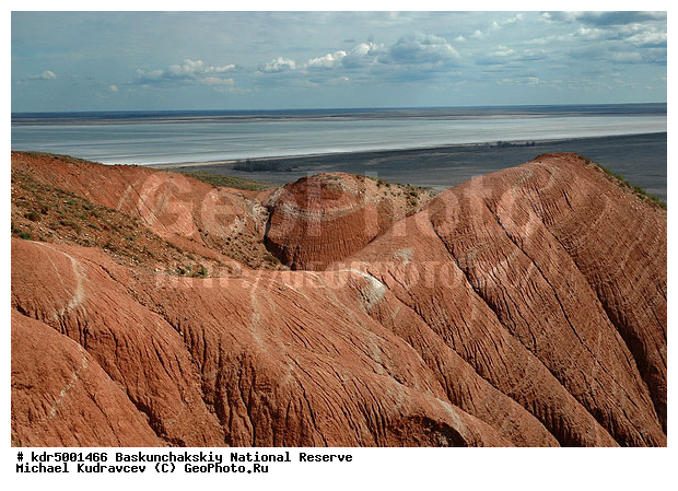 ������������, ���������, ������ 2007, ����������, ������ ��������, �������, �����, �� ������