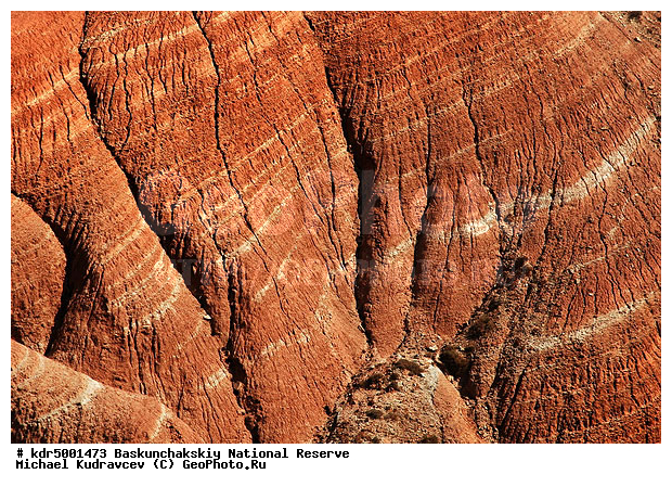 ������������, ���������, ������ 2007, ����������, ������ ��������, �������, �����, �� ������