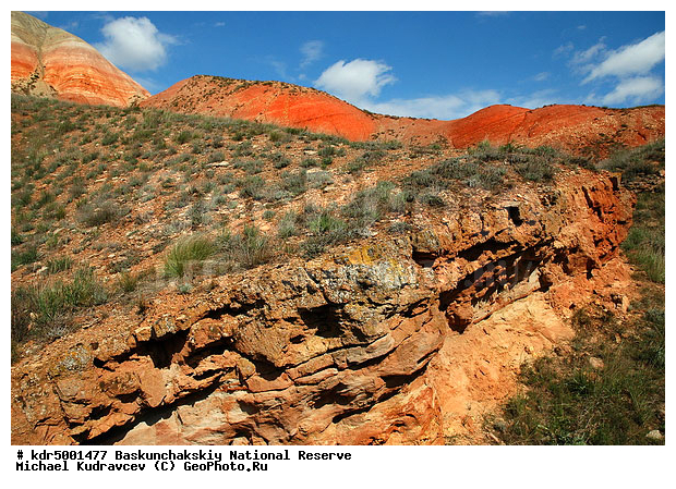 ������������, ���������, ������ 2007, ����������, ������ ��������, �������, �����, �� ������