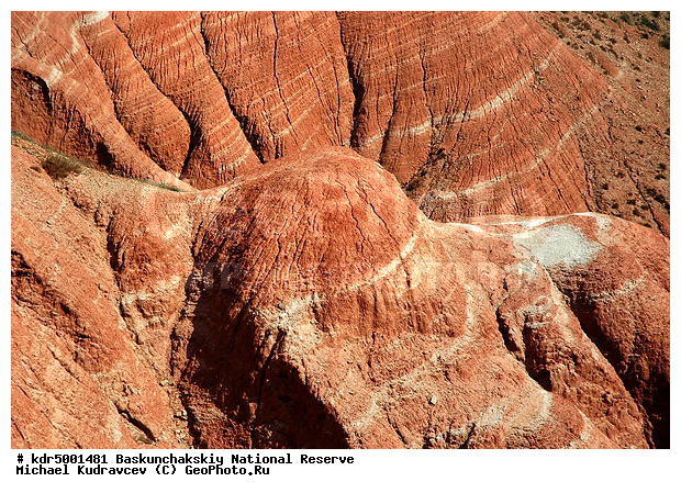 ������������, ���������, ������ 2007, ����������, ������ ��������, �������, �����, �� ������